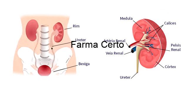 Doenças dos rins