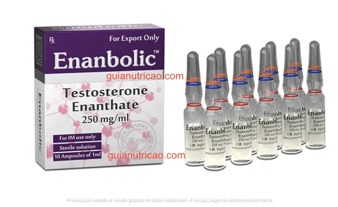 Enanbolic (Enantato de testosterona) 250mg/ml 10x1ml - Cooper Pharma